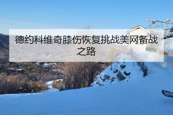 德约科维奇膝伤恢复挑战美网备战之路