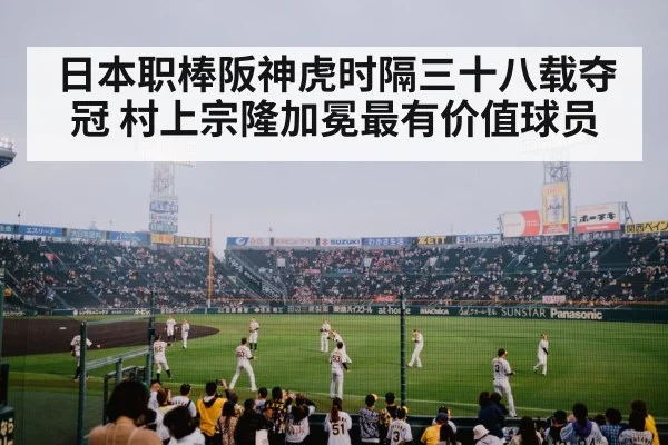 日本职棒阪神虎时隔三十八载夺冠 村上宗隆加冕最有价值球员